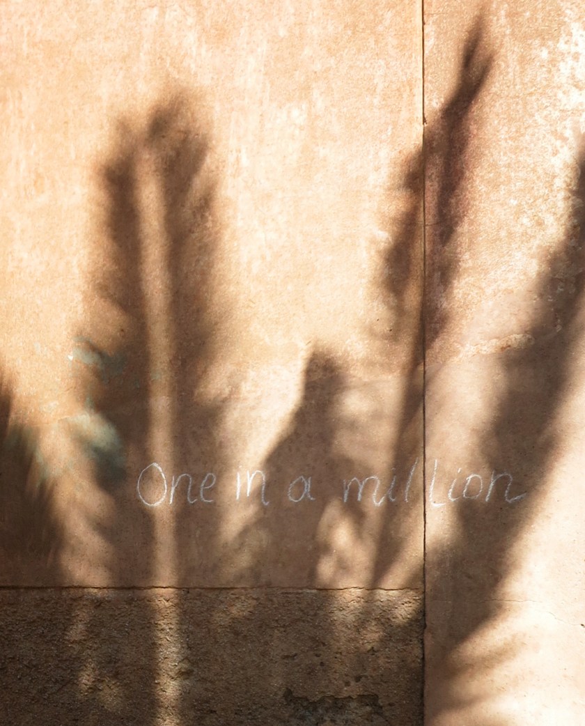 stylentonic_paisley_park