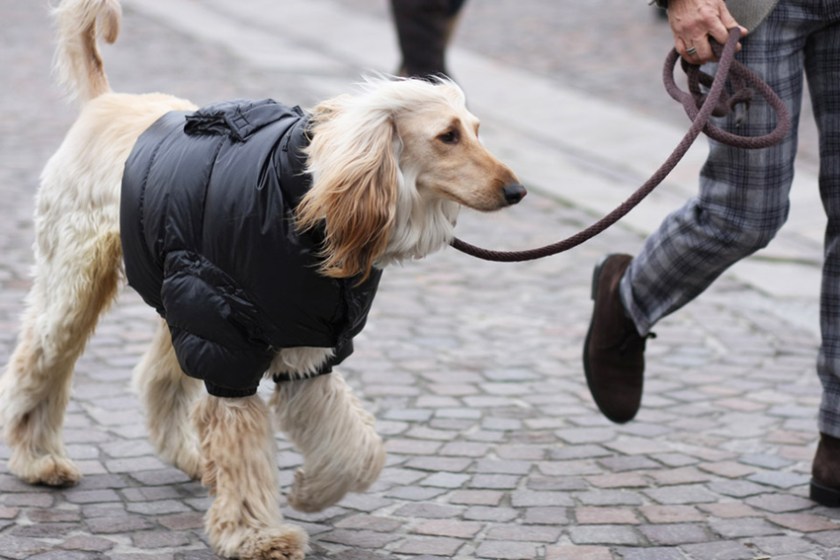street-style-fall-winter-2014-pitti-uomo-13