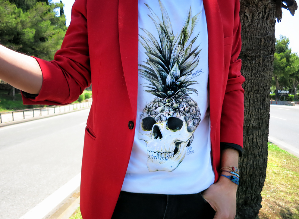 Animal clothing