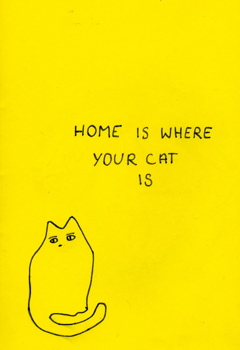 cat_home