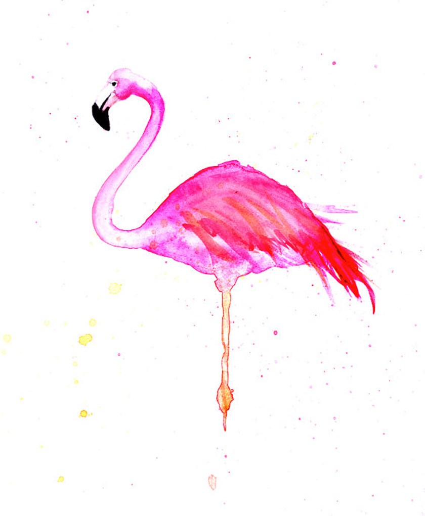 pink_flamingo
