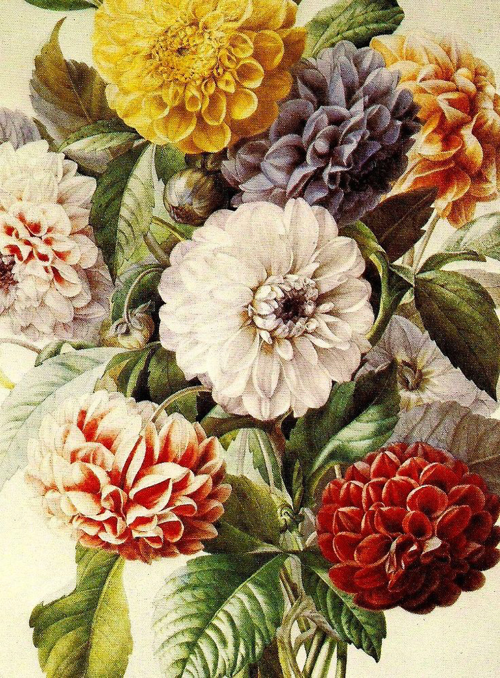 botanical_print | stylentonic