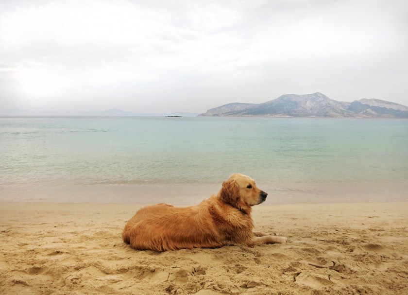 koufonisia_dog_beach